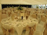 Classic Chair Covers 1097423 Image 5